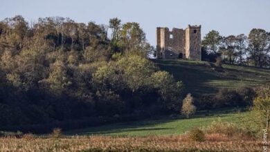 Protected landscape near Lancaster awarded £1m in lottery funding