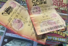 Florida player beats 1-in-290 million odds to win Mega Millions jackpot