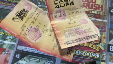 Florida player beats 1-in-290 million odds to win Mega Millions jackpot