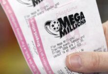 $800 million Mega Millions jackpot won by Florida ticket holder after four-month wait; winning numbers, payout and how to play explained