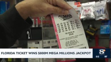 Florida Ticket Wins $800M Mega Millions Jackpot