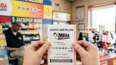 Lucky Florida ticket holder wins $800M Mega Millions jackpot, largest of 2026