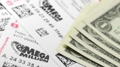 Florida Mega Millions Ticket Wins $800 Million Jackpot in Bradenton | NewsRadio WFLA | Florida News