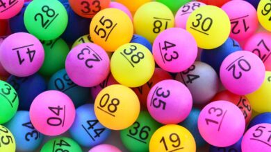 Daily Lotto results.