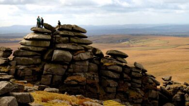We’re investing in five more UK landscapes to support nature and communities