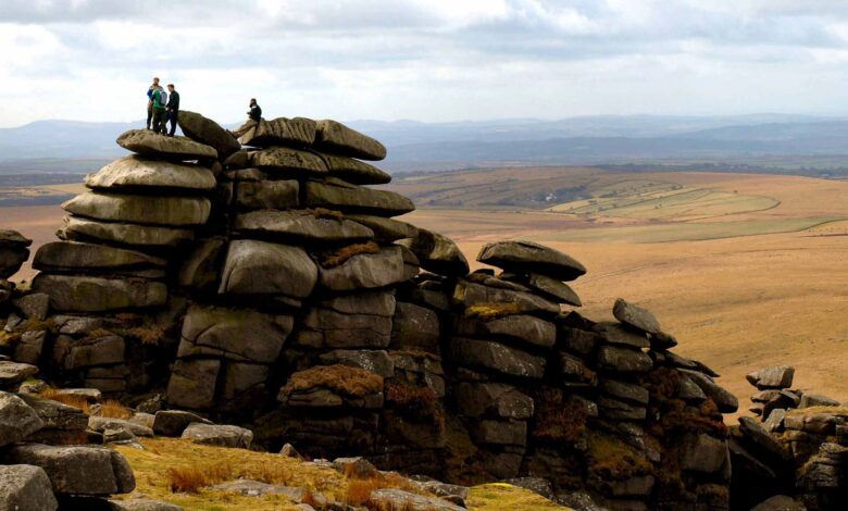 We’re investing in five more UK landscapes to support nature and communities