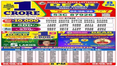 Nagaland Lottery Result Today, 2 August 2026 LIVE: Dear 8 PM Sunday Weekly Lucky Draw Winners List for Rs 1 Cr