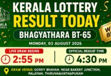 Kerala Lottery Result Today LIVE 03-08-2026: Bhagyathara BT-65 Results DECLARED; Check Who Won Rs. 1Cr