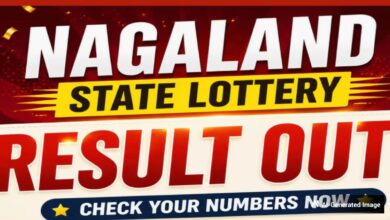 Nagaland Dear Lottery Result Today 03.08.2026 1 PM, 6 PM, & 8 PM | Lottery Sambad LIVE; Check Winners List