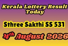 Kerala Lottery Result Today, August 4: Sthree Sakthi SS 531 Results DECLARED; Check Full Winners List Here