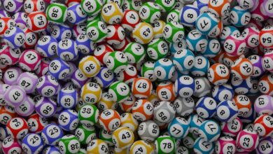 9 Lotto - 9 Lotto Results, Winning Numbers, and Latest Draw Updates - Programming Insider