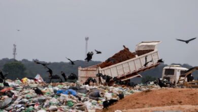 Trash company recovers lottery player's discarded $1.15M ticket - UPI.com