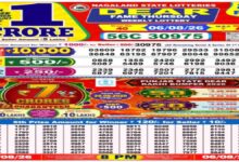 Nagaland Lottery Result Today, 6 August 2026 LIVE: Dear Night Sambad 8 PM Thursday Weekly Lucky Draw Winners