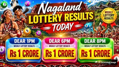 Nagaland Dear Lottery Result Today 11.8.2026 1 PM 6 PM 8 PM | Tuesday Lottery Sambad LIVE: Full Winners List