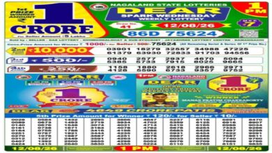 Nagaland Lottery Result Today, 12-8-2026 LIVE: Check Sambad Dear 1PM Weekly Wednesday Lucky Draw Winners List