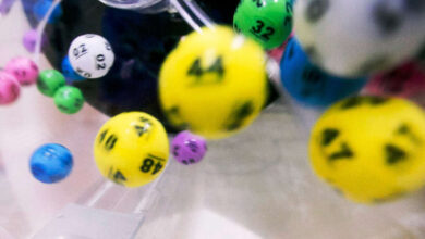 Wicklow Player Scoops €500,000 EuroMillions Prize