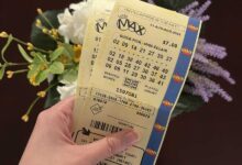 Lotto Max winning numbers for Tuesday, August 11 are out and there's a $30 million jackpot
