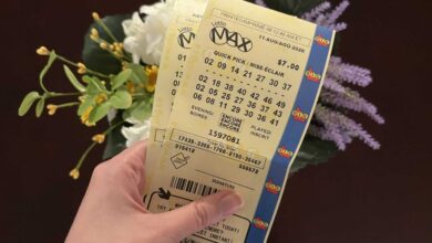 Lotto Max winning numbers for Tuesday, August 11 are out and there's a $30 million jackpot