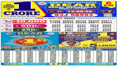 Nagaland Lottery Result Today, 12 August 2026 LIVE: Evening Sambad Dear 6PM, 8PM Wednesday Weekly Lucky Draw