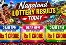 Nagaland Dear Lottery Result Today 13.8.2026 1 PM 6 PM 8 PM | Lottery Sambad LIVE; Check Winners List
