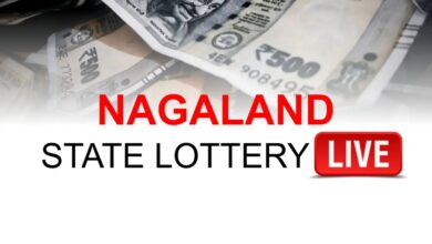 Nagaland Dear Lottery Result Today 14.8.2026 1 PM 6 PM 8 PM | Lottery Sambad LIVE: Full Winners List Here