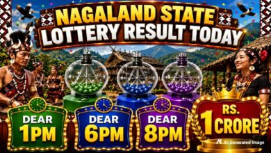 Nagaland State Lottery Sambad 17.8.2026 Today 1PM, 6PM & 8PM: Lottery Sambad Live; Full Winners List