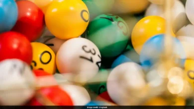 Kerala Man Wins Rs 26 Lakh UAE Lottery: 'Keep Hoping, Your Day Will Come'