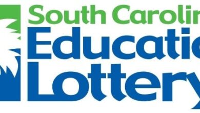 South Carolina Lottery Mega Millions, Pick 3 results for Aug. 14, 2026