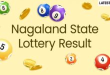Nagaland State Lottery Sambad Result Today 8 PM Live: Dear Destiny Tuesday Lottery Result of August 18, 2026 Declared Online, Watch Lucky Draw Winners List | 📝 LatestLY