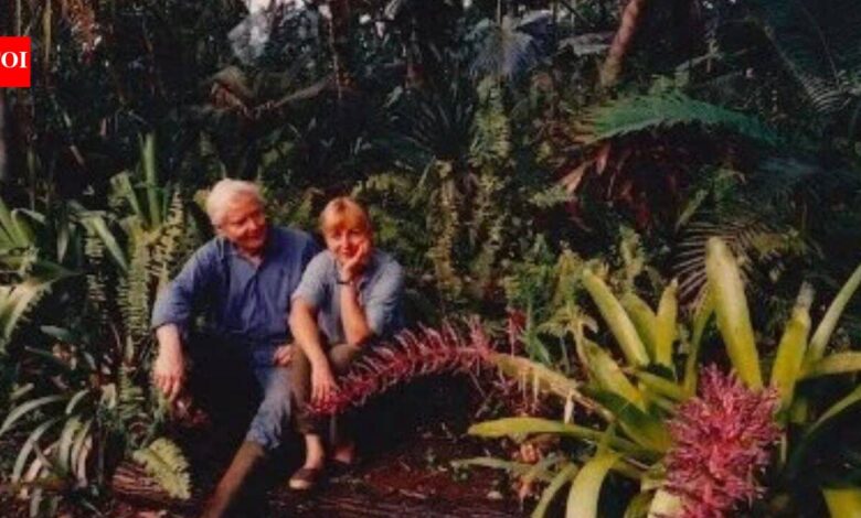 In the 1970s, Pulitzer Prize-winning poet W.S. Merwin and his wife Paula bought a barren piece of land in Hawaii; planting one sapling at a time, they transformed the wasteland into a 19-acre forest with more than 3,000 palms