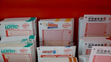 What are the winning Mega Millions numbers? Jackpot reaches $113 million