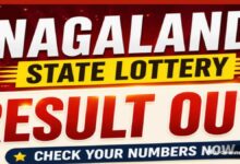 Nagaland Dear Lottery Result Today 23.8.2026 1PM 6PM 8PM: Sunday Lottery Sambad Live: Winners List