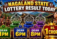 Nagaland State Lottery Sambad 24.8.2026 Today 1PM, 6PM & 8PM: Lottery Sambad Live; Full Winners List