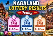 Nagaland Dear Lottery Result Today 25.8.2026 1 PM 6 PM 8 PM | Lottery Sambad LIVE: Check Full Winners List
