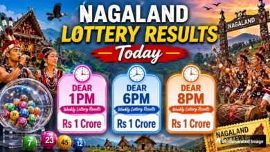 Nagaland Dear Lottery Result Today 25.8.2026 1 PM 6 PM 8 PM | Lottery Sambad LIVE: Check Full Winners List