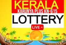 Kerala Lottery Result Today: The first prize winner of Sthree Sakthi SS-534 will take home Rs 1 crore. (Image: Shutterstock)
