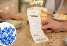 Powerball draw 1217: here are the winning numbers in $100 million draw