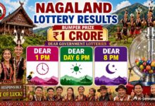 Nagaland Dear Lottery Result Today 28.8.2026 1 PM 6 PM 8 PM | Lottery Sambad LIVE: Full Winners List Here
