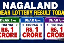 Nagaland Dear Lottery Result Today 29.8.2026 1 PM 6 PM 8 PM | Lottery Sambad Live; Rs 1 Cr Prize, Winners List