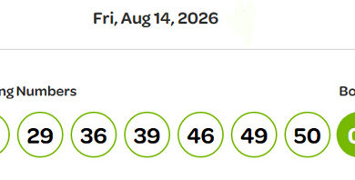 lotto max, august 14, winning numbers