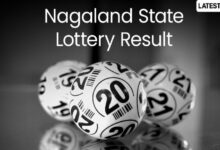 Nagaland Dear Lottery Sambad Result Today 8 PM Live: Dear Fame Thursday Lottery Result of August 13, 2026 Declared Online, Watch Lucky Draw Winners List