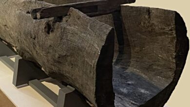 Salt Ship - museum project